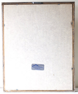 Albright, Jimmie - Shadowbox Framed Flies