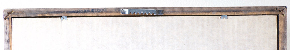 Albright, Jimmie - Shadowbox Framed Flies 