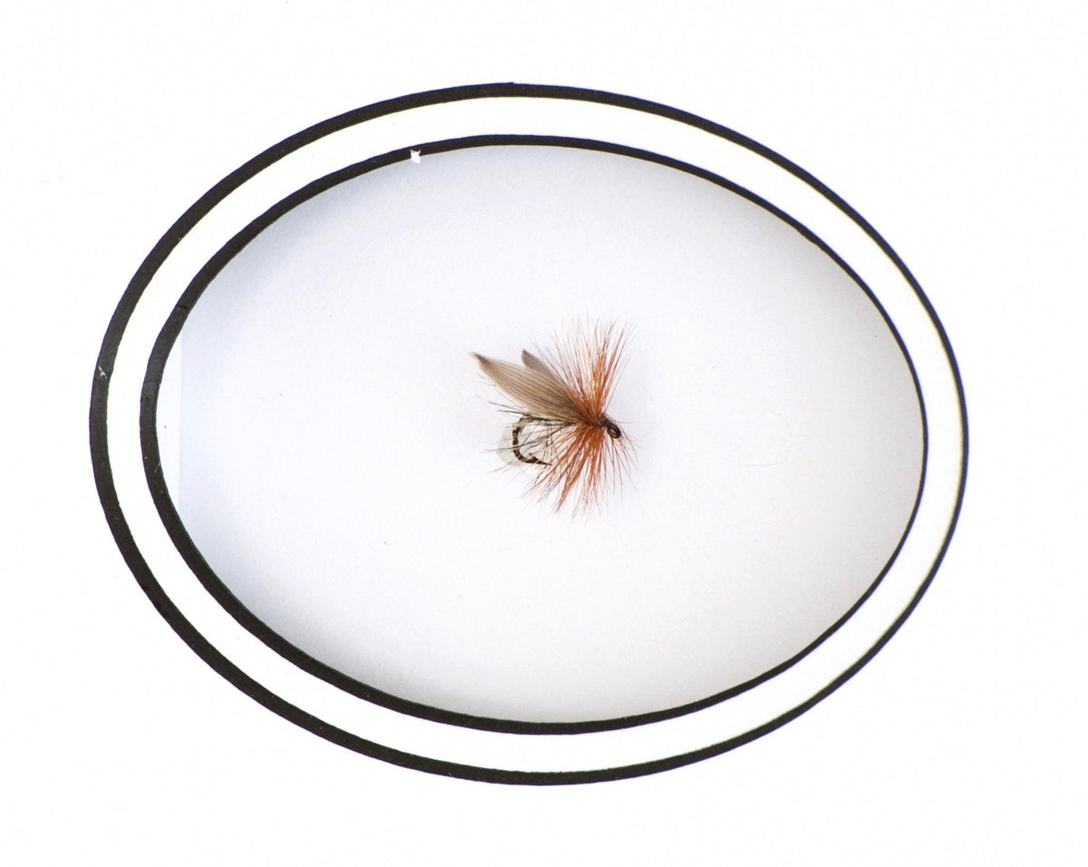 Dette (Walt) Framed Flies 