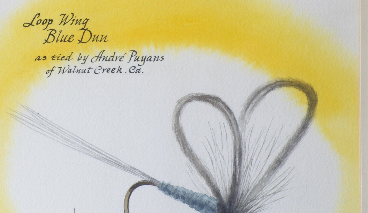 Eddy, Bob -- "Loop Wing Blue Dun" Watercolor 