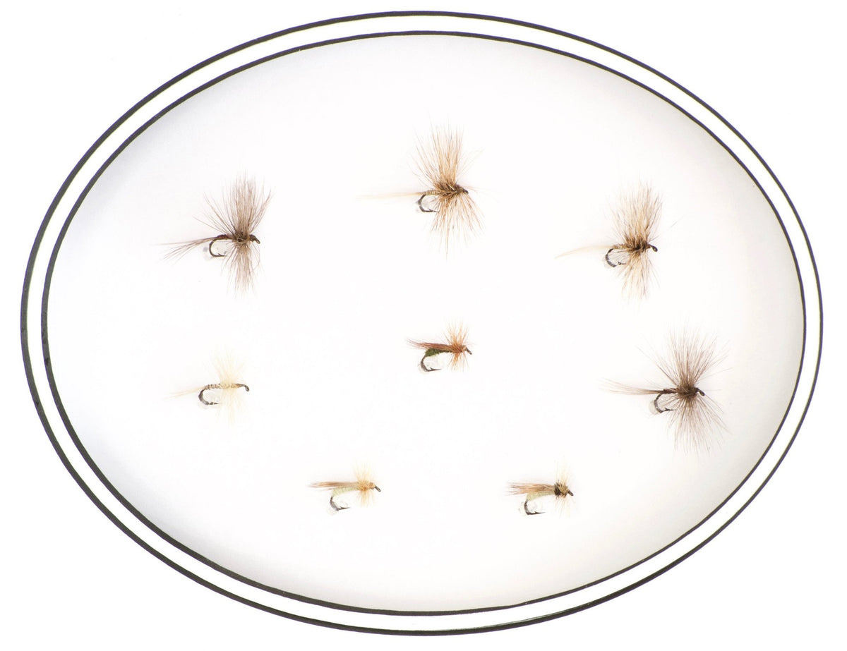 Dette Framed Flies 