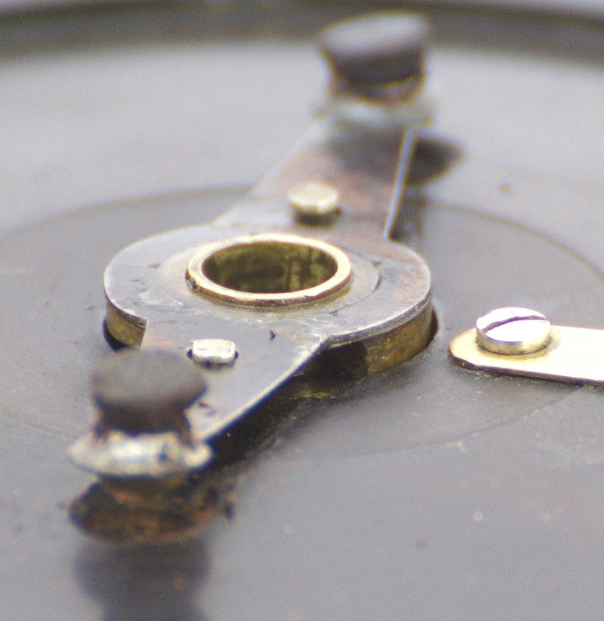 Edward Vom Hofe Celebrated Salmon and Grilse Click Reel