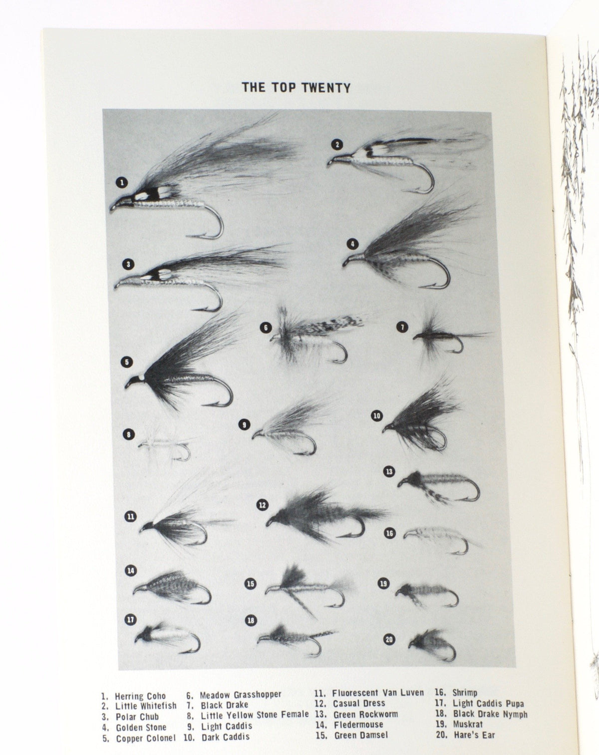 Rosborough, Polly - Limited Edition Vise and Catalog