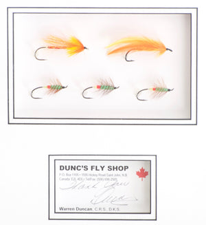 Duncan, Warren - Shadowbox Framed Flies 
