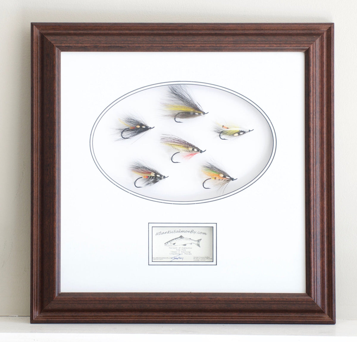 Molloy, Jerome - Framed Flies 