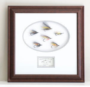 Molloy, Jerome - Framed Flies 