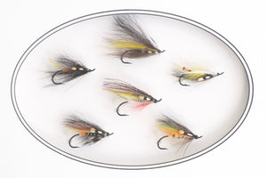 Molloy, Jerome - Framed Flies 