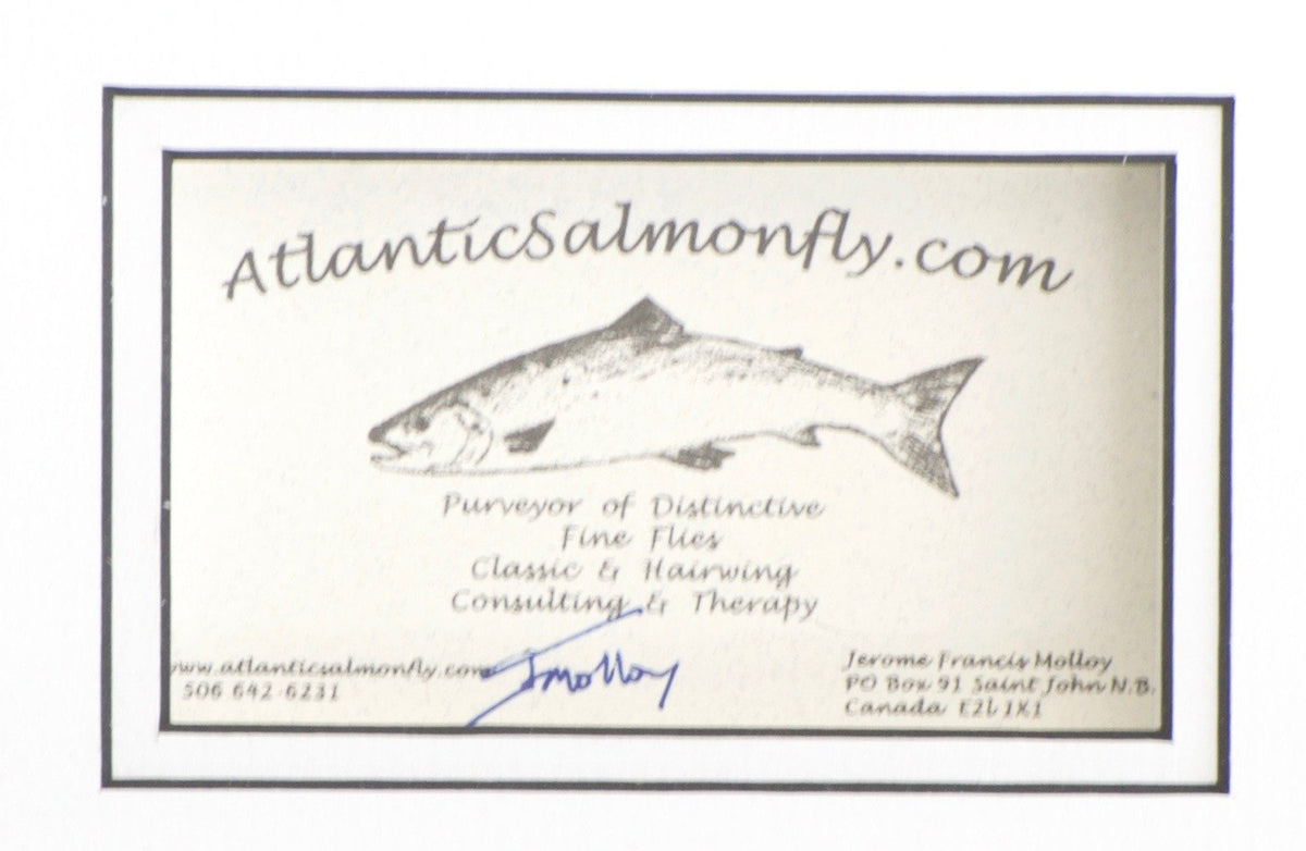 Molloy, Jerome - Framed Flies 