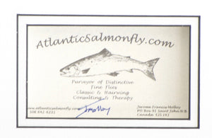 Molloy, Jerome - Framed Flies 