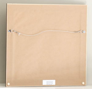 Molloy, Jerome - Framed Flies 