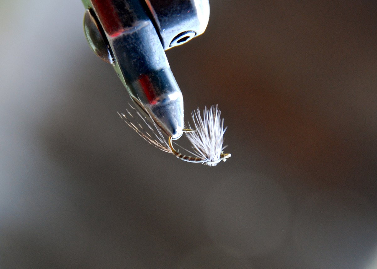Flies for Rivers - Scorpion Dun (Flav - Size 14) 