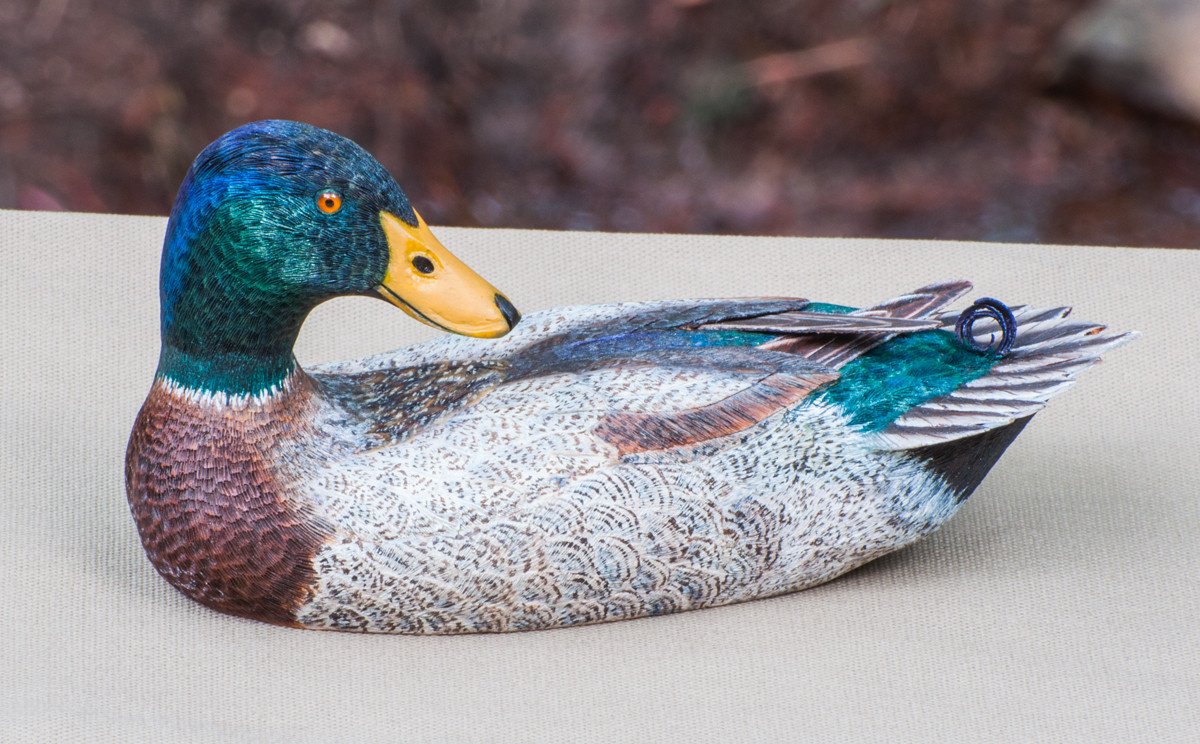 Jonas, Joe - Mallard Drake Duck Carving 