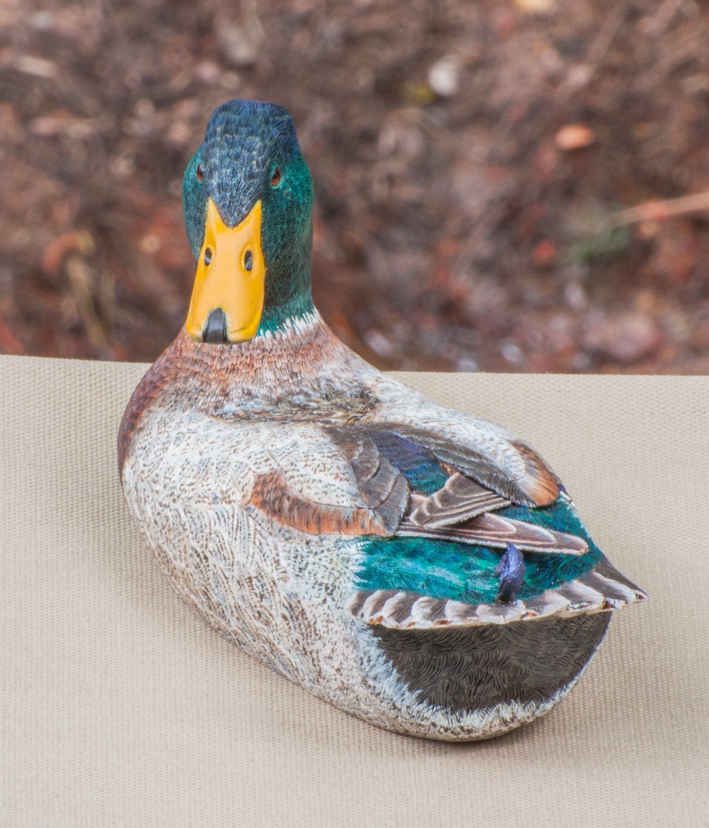 Jonas, Joe - Mallard Drake Duck Carving 