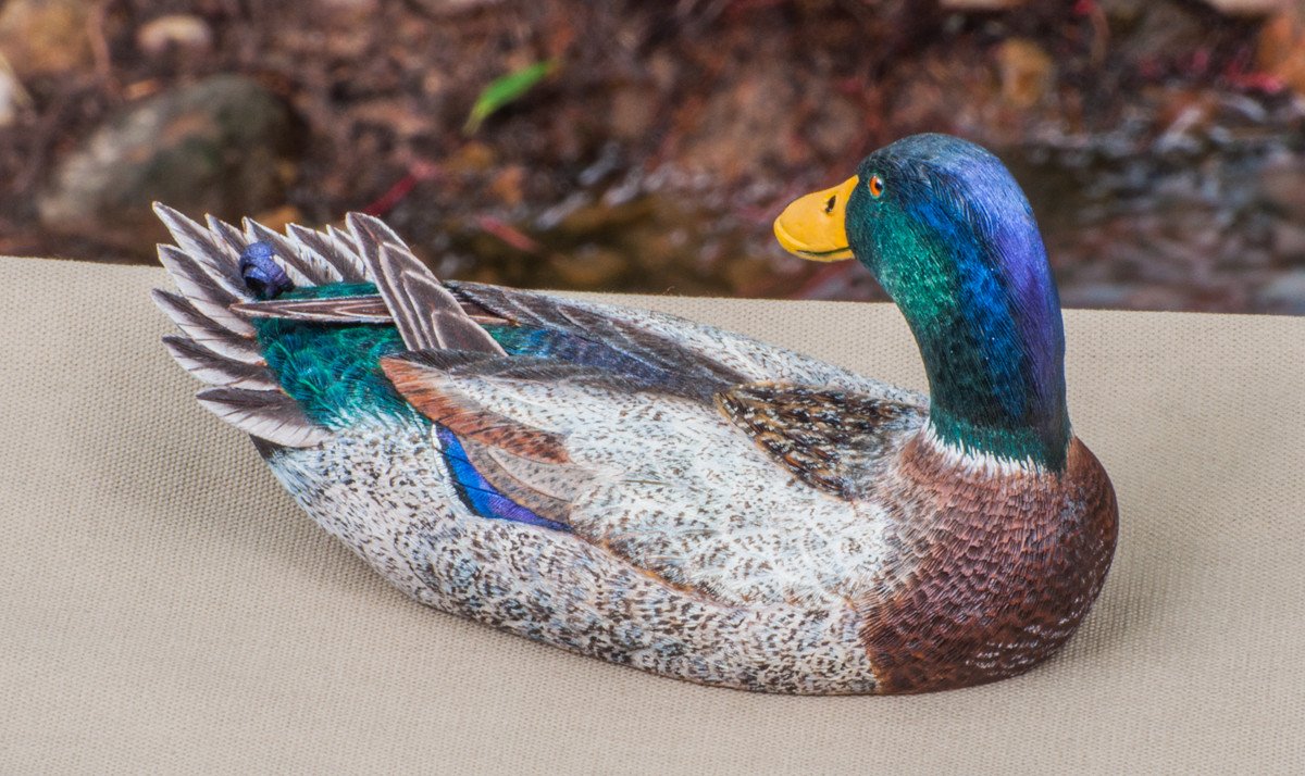 Jonas, Joe - Mallard Drake Duck Carving 