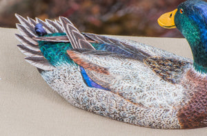 Jonas, Joe - Mallard Drake Duck Carving 
