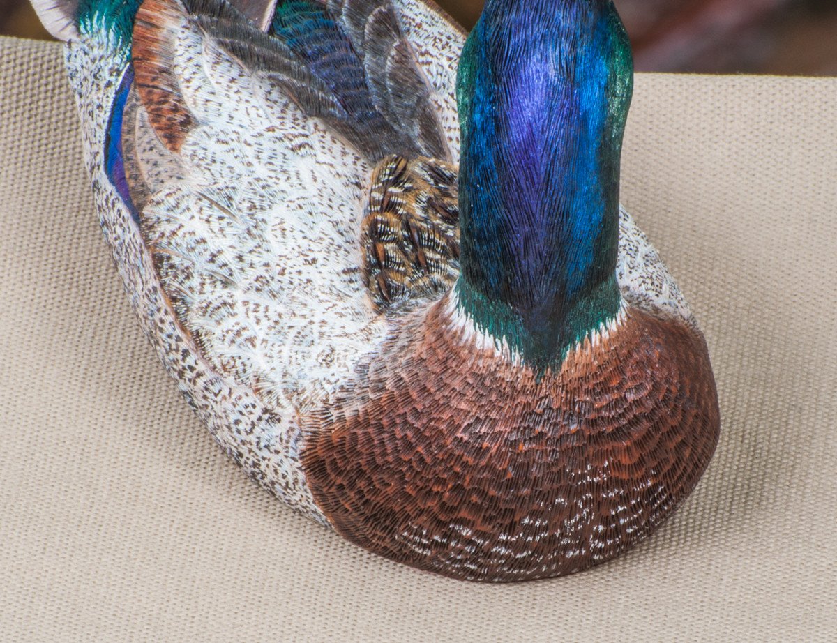 Jonas, Joe - Mallard Drake Duck Carving