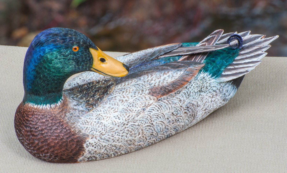 Jonas, Joe - Mallard Drake Duck Carving 