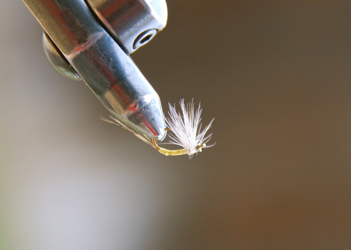 Flies for Rivers - Scorpion Dun (PMD - Size 16)