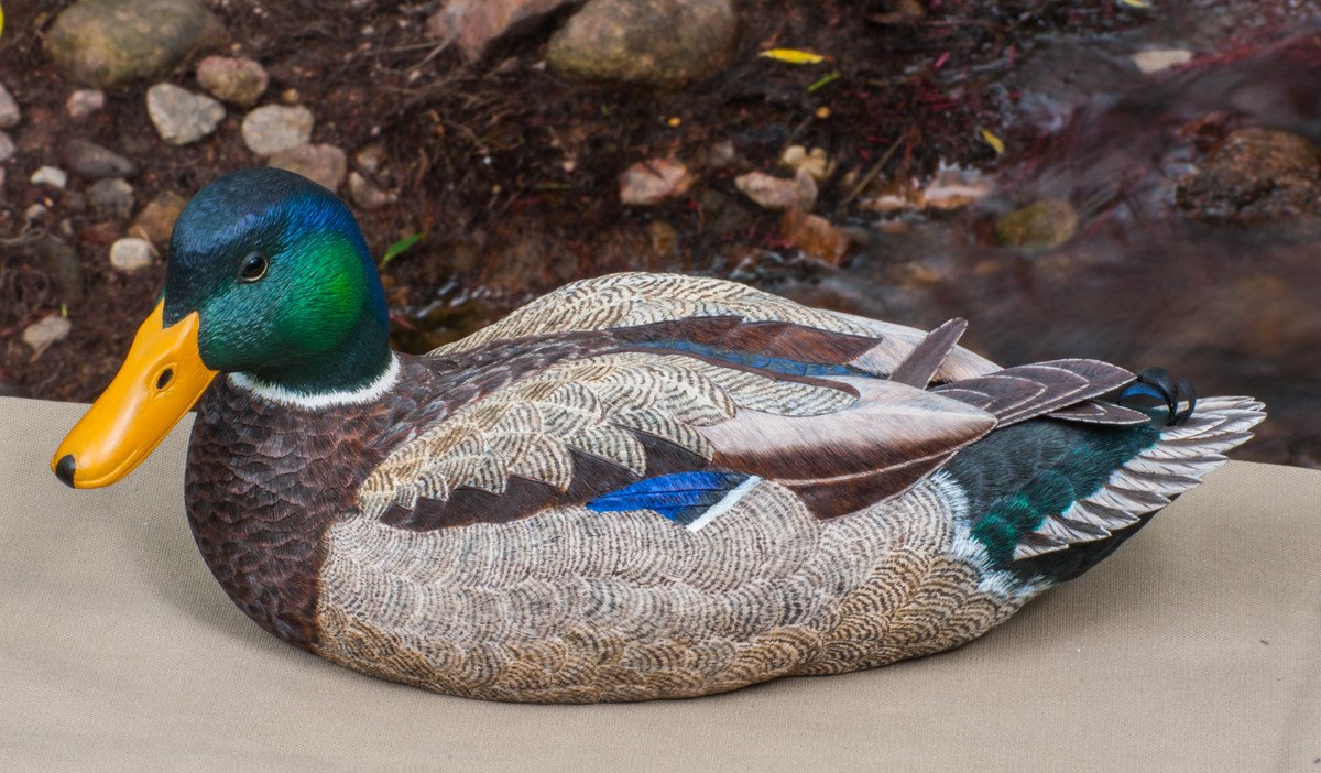 Jonas, Joe - Mallard Drake Duck Carving 