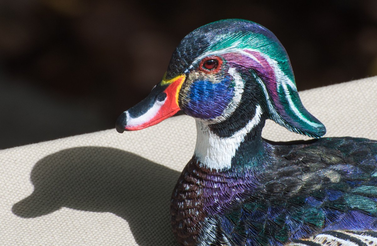 Jonas, Joe - Wood Drake Duck Carving 