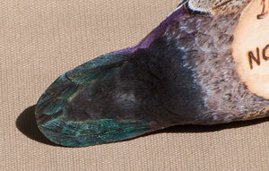 Jonas, Joe - Wood Drake Duck Carving 