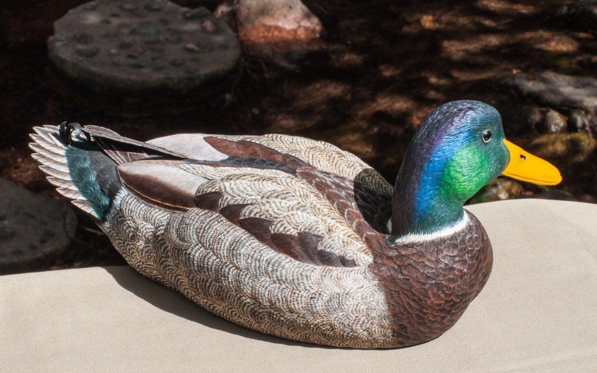 Jonas, Joe - Mallard Drake Duck Carving