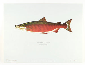 Schwiebert, Ernest - "Salmon of the World"