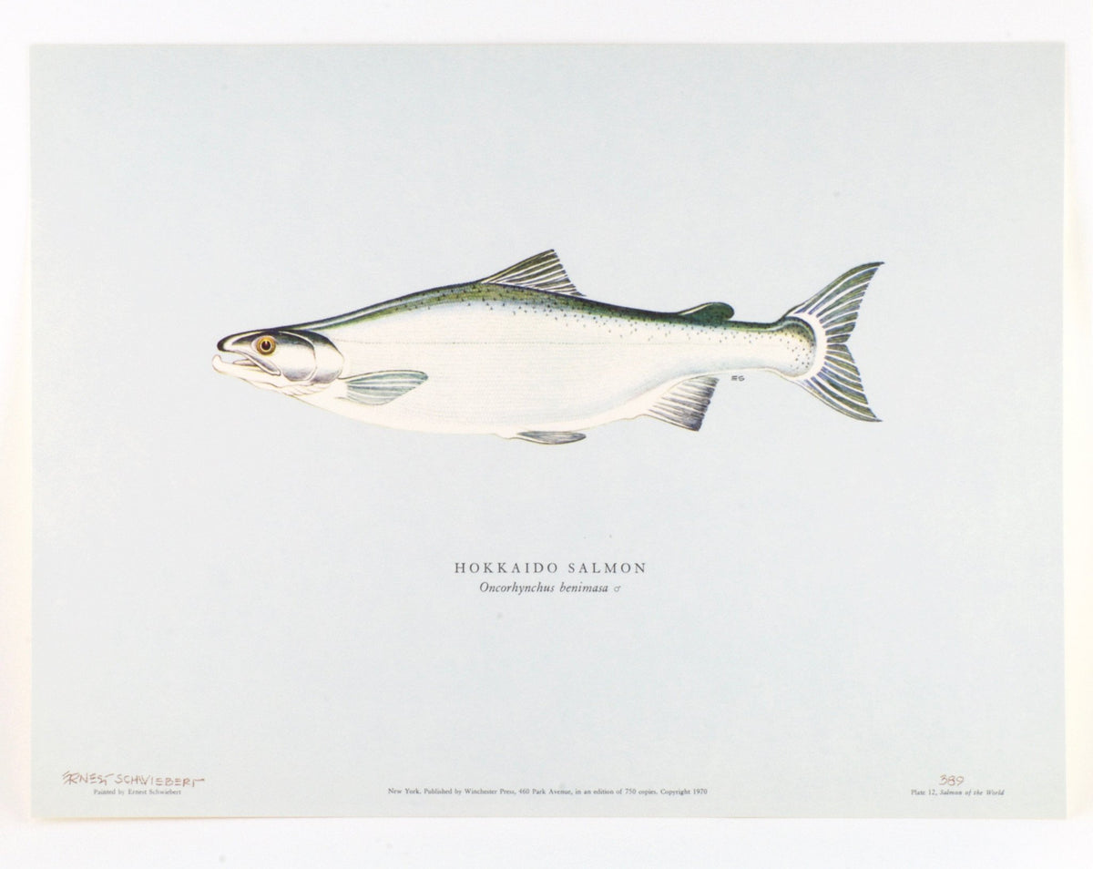 Schwiebert, Ernest - "Salmon of the World" 