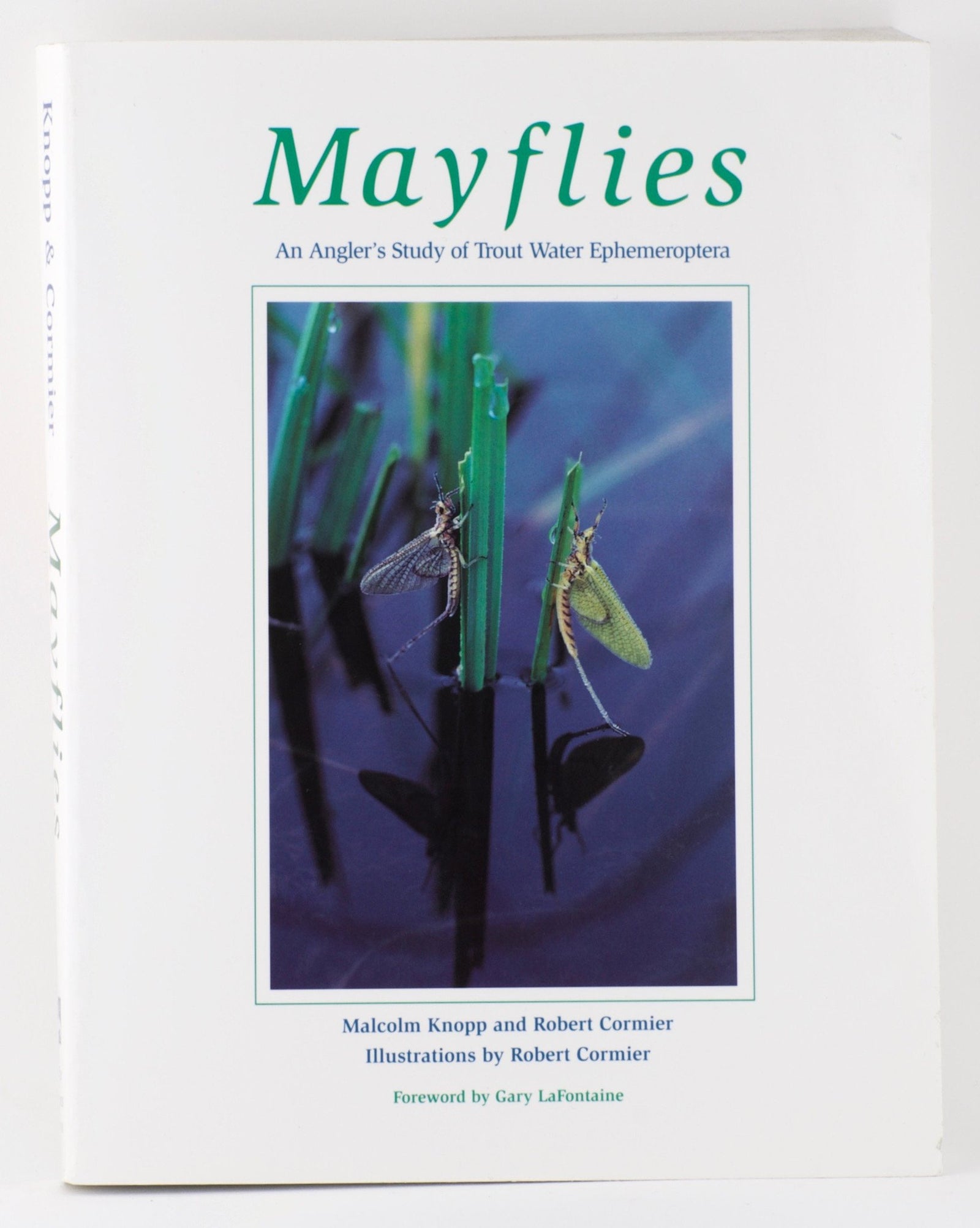Knopp, Malcolm - "Mayflies" 