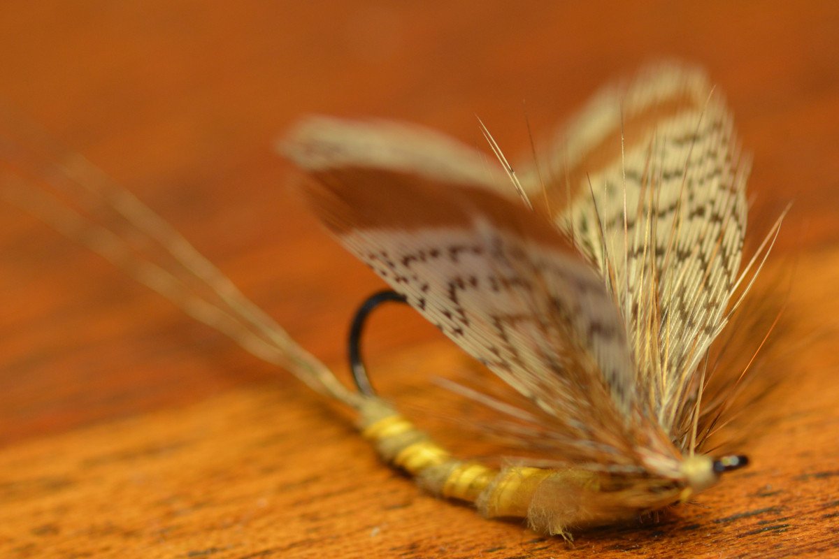 Flies for Rivers - Scorpion Half-Spent (Brown Drake - Size 8)