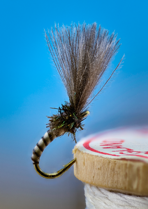 Flies for Rivers - Emergent Midge