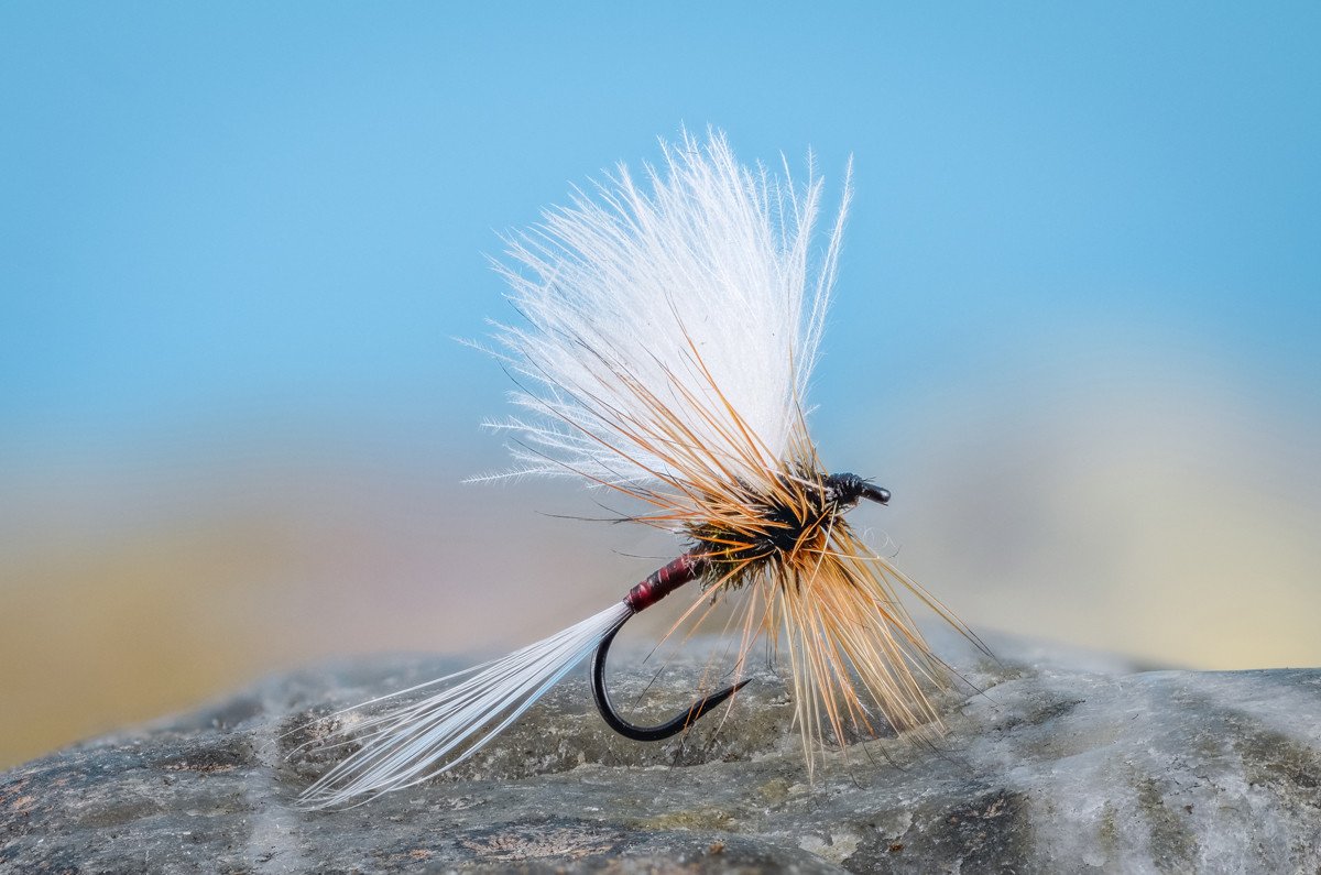 Flies for Rivers - CDC House & Lot