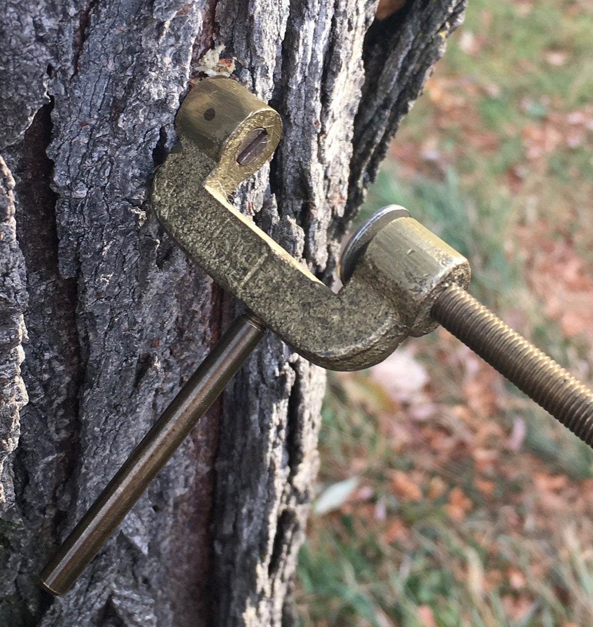 Vom Hofe, Edward -- Line Dryer 