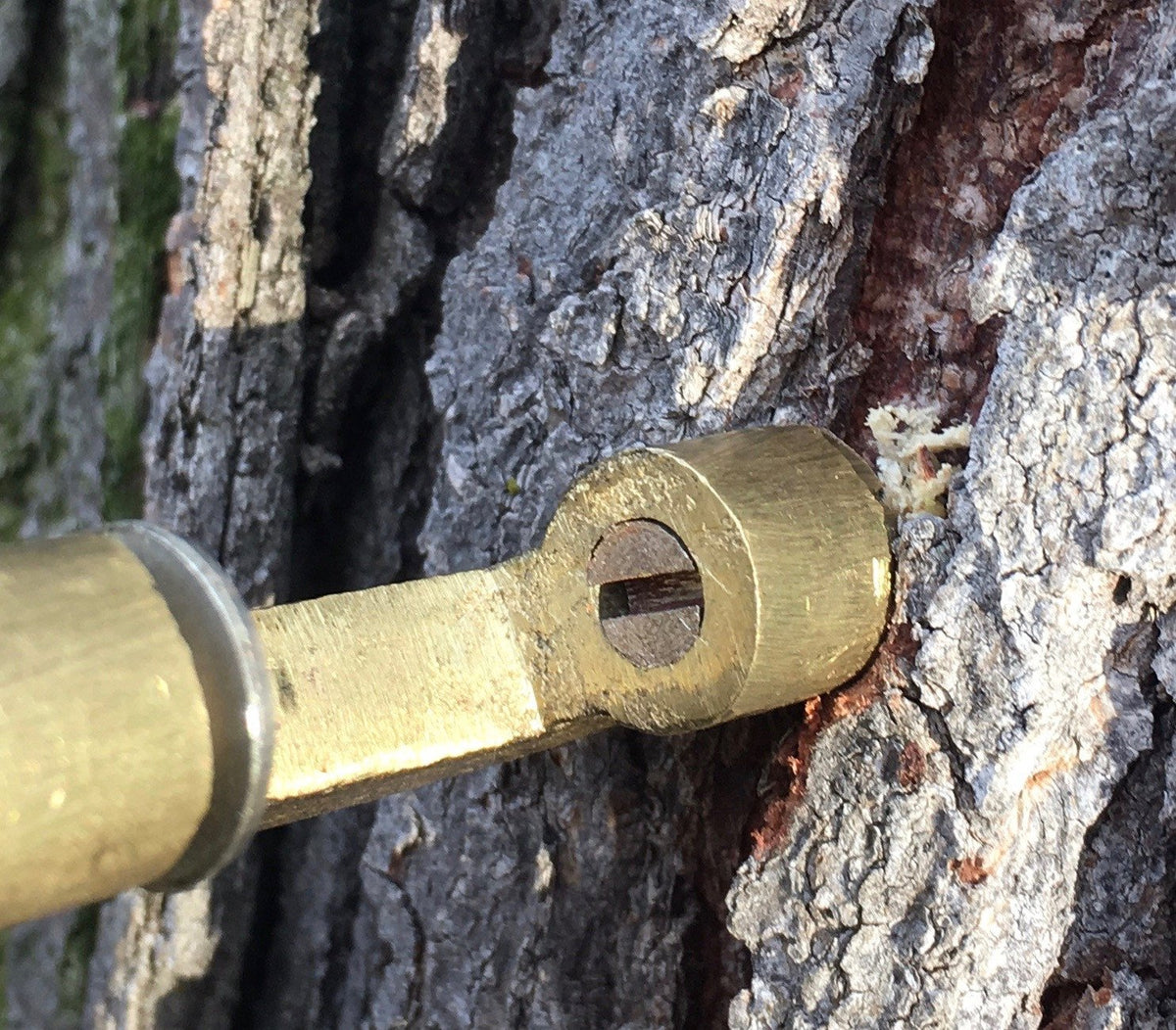 Vom Hofe, Edward -- Line Dryer 