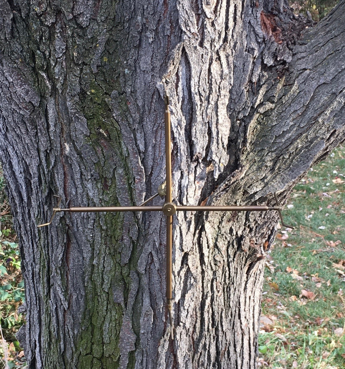 Vom Hofe, Edward -- Line Dryer 