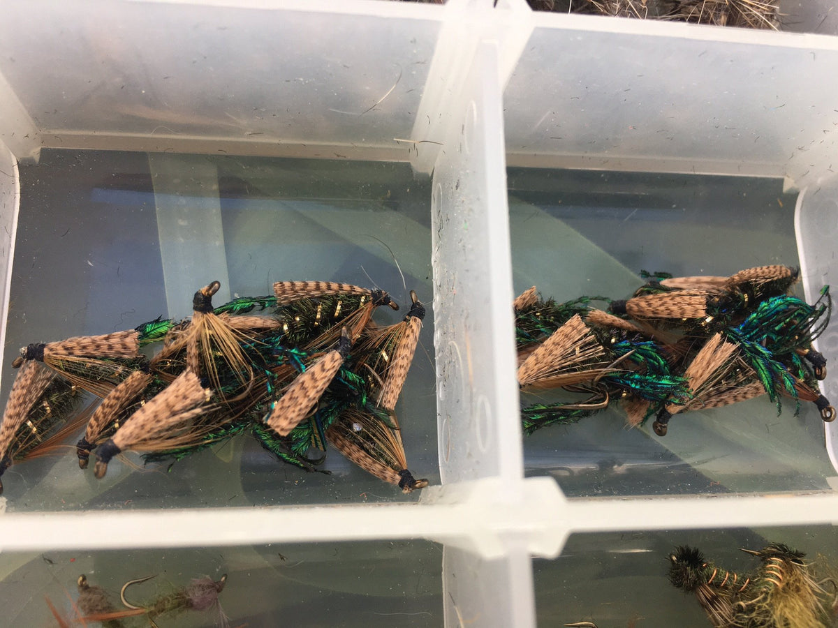Plano fly box full of flies (nymphs and soft hackles) 