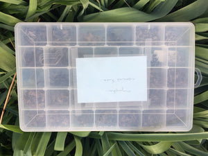 Plano fly box full of flies (nymphs and soft hackles) 