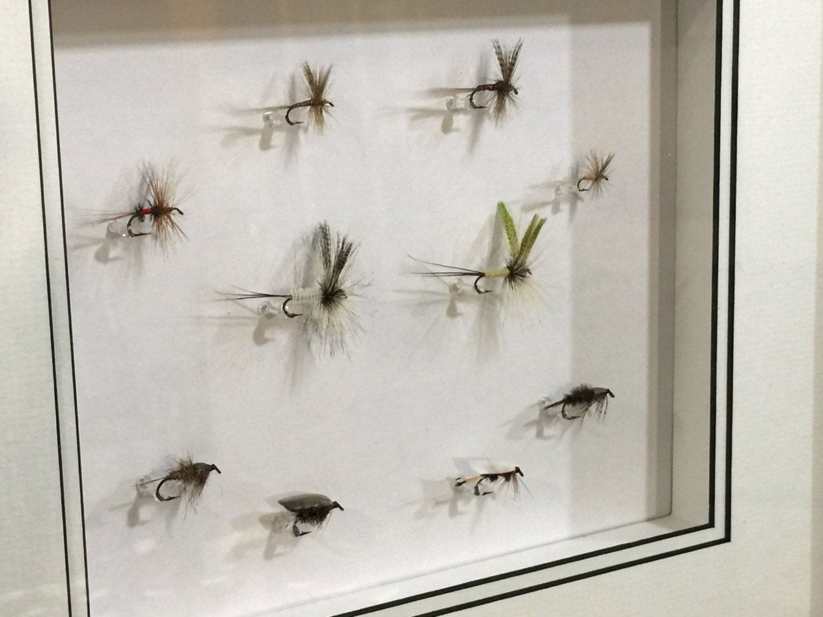 Dette Framed Flies 