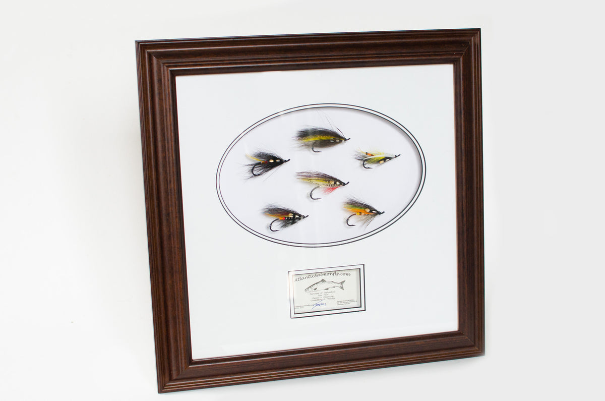 Jerome Malloy 6 Salmon Fly Shadowbox
