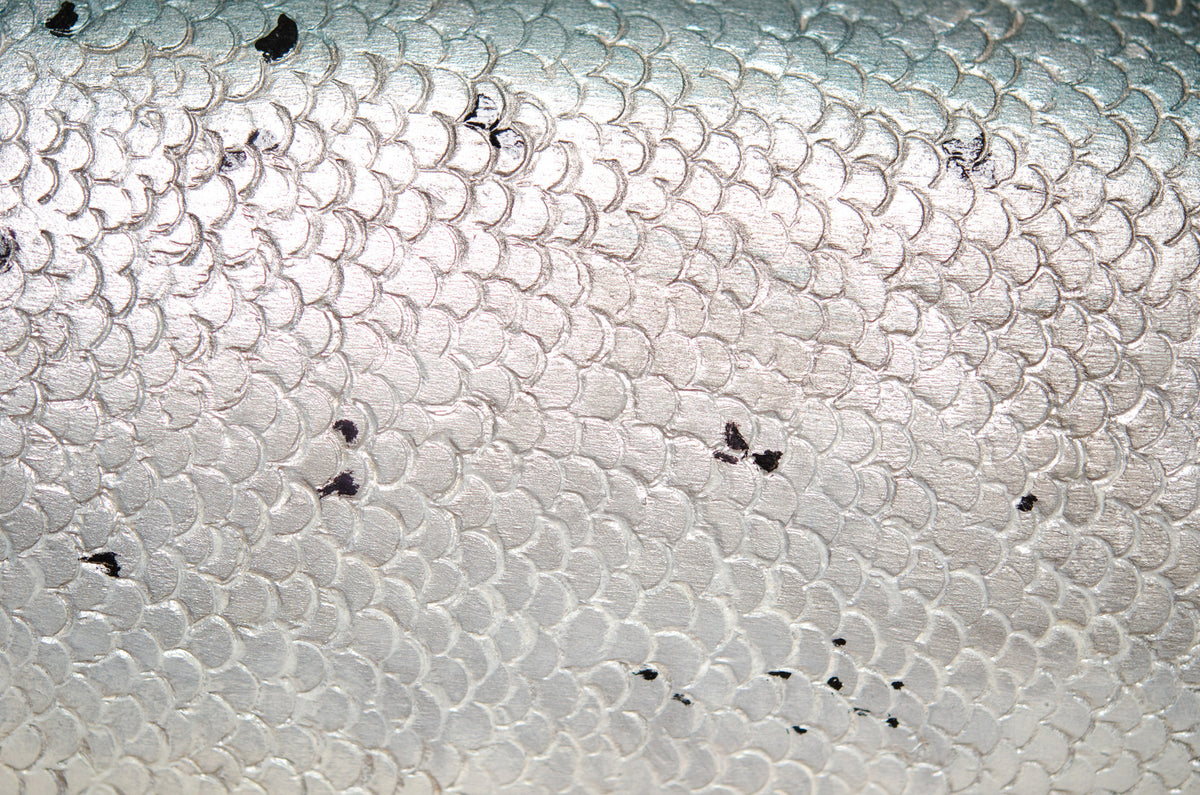 Mark Bennett Atlantic Salmon Carving