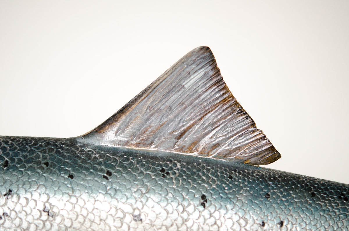 Mark Bennett Atlantic Salmon Carving