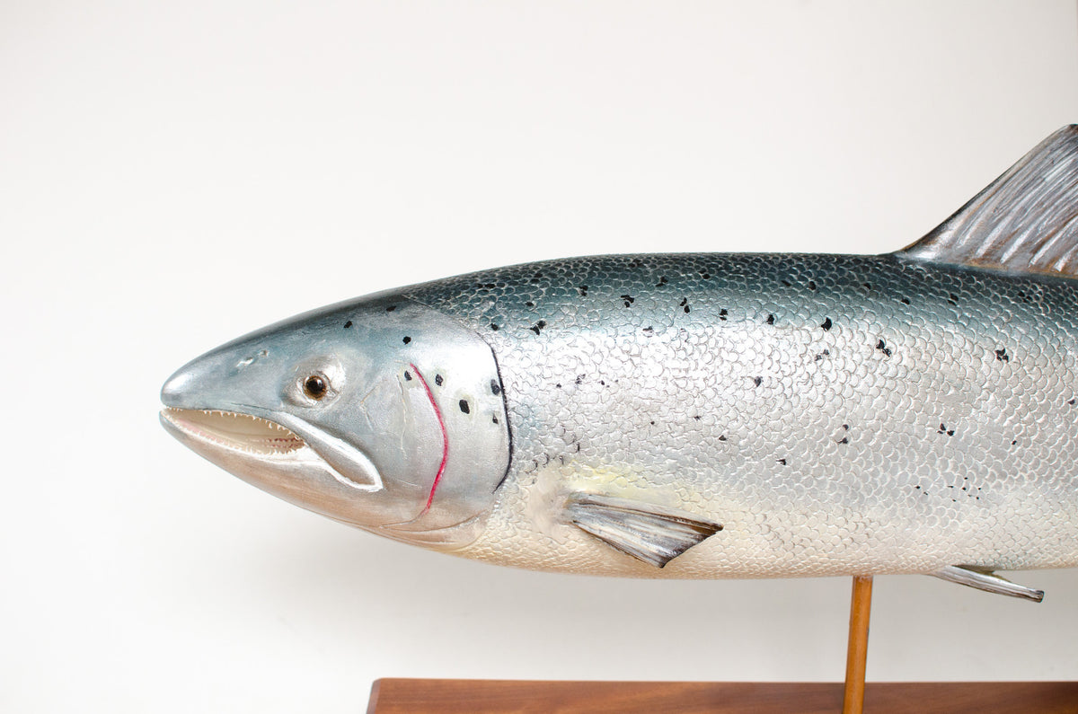 Mark Bennett Atlantic Salmon Carving