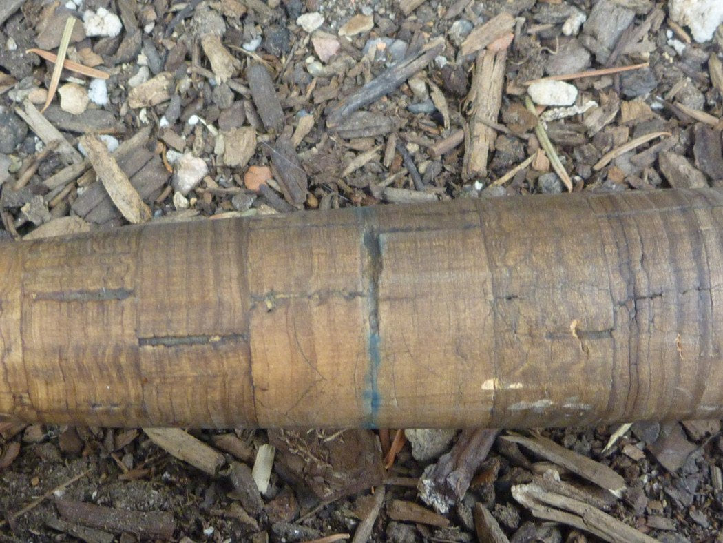 Orvis "Equinox" Impregnated 7'6 Bamboo Rod 