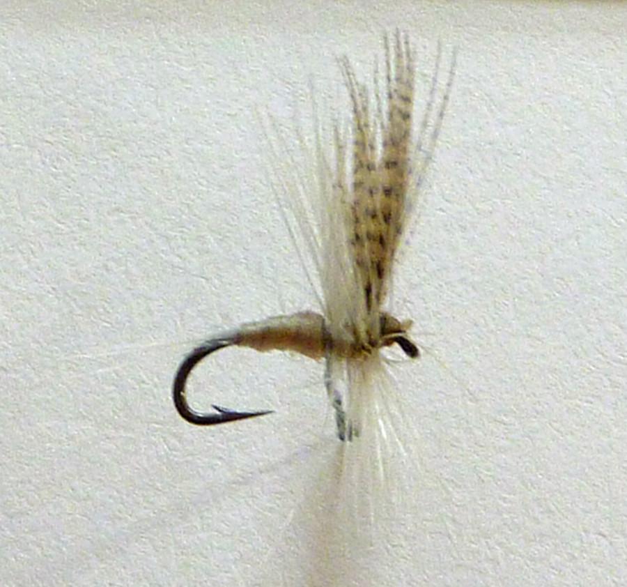 Roy Steenrod Framed Flies 