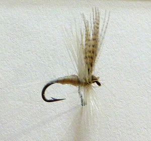 Roy Steenrod Framed Flies 