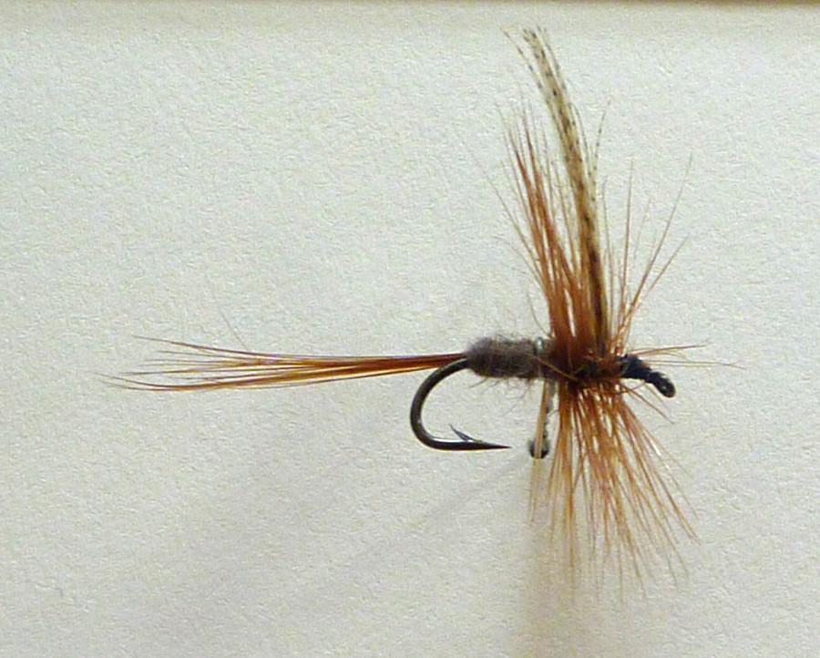 Roy Steenrod Framed Flies