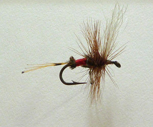 Roy Steenrod Framed Flies 