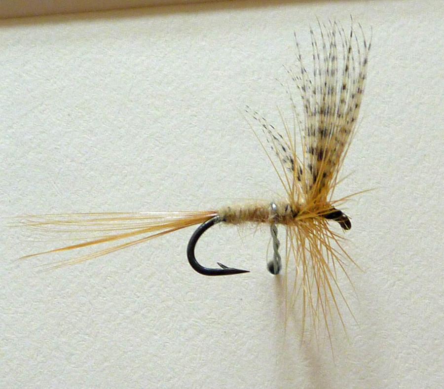 Roy Steenrod Framed Flies 