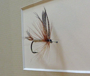 Herman Christian Framed Fly 