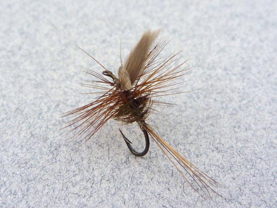Rube Cross - Leadwing Coachman - Catskill Dry Fly 